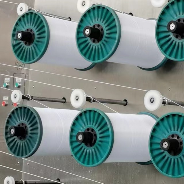 Extrudeuse à Corde Polypropylène pour l'Algérie | Prix Usine