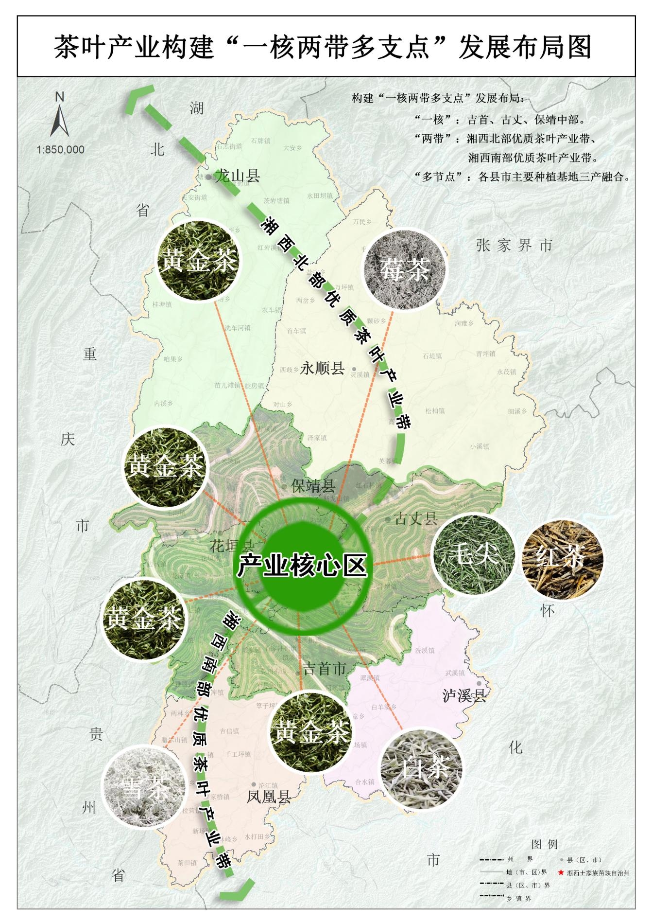 图片展示