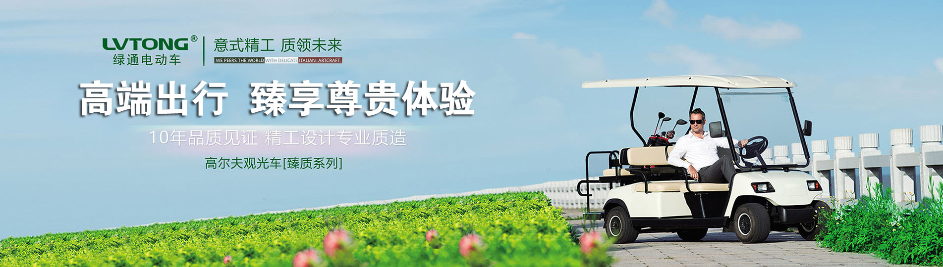江苏电动观光车