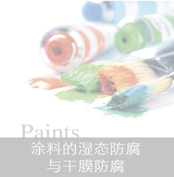 图片展示