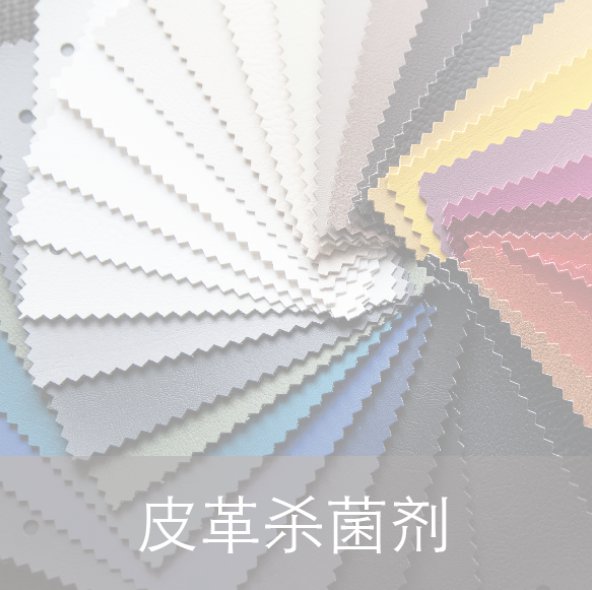 图片展示