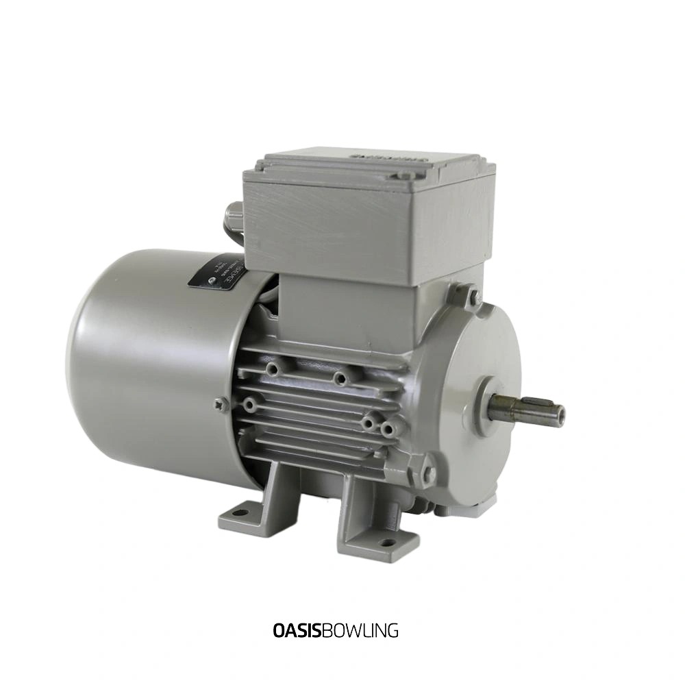 99-076362-000 Distributor Motor Used for Brunswick Pinsetters | Oasis Bowling China