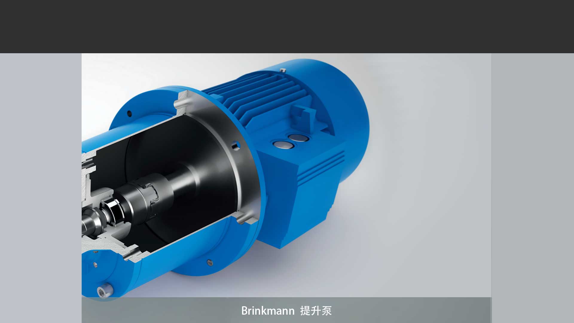 BRINKMANN布曼