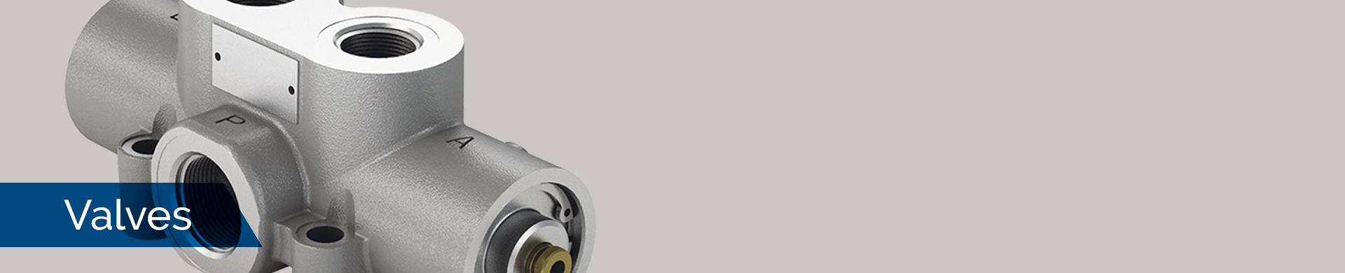 Interpump