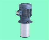 TERAL泰拉尔机床冷却泵LKW
