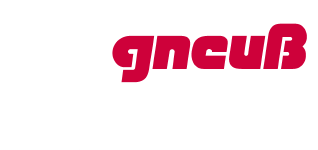 GNEUSS,德国GNEUSS真空技术,控制技术,在线粘度计,熔体过滤器,过滤元件,压力传感器,温度传感器,安全系统,测量放大器