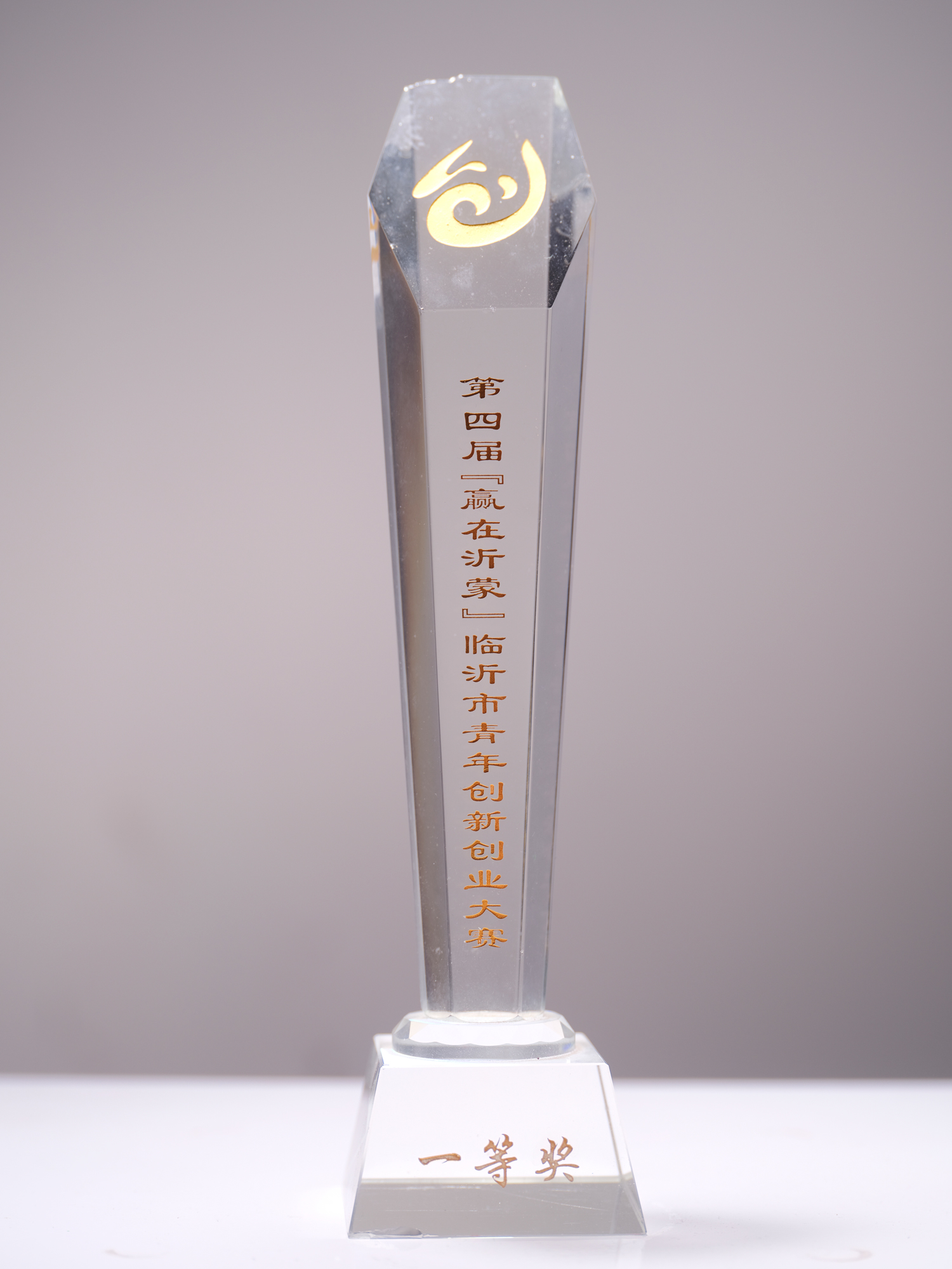 第四届“赢在沂蒙”临沂市青年创新创业大赛一等奖奖杯