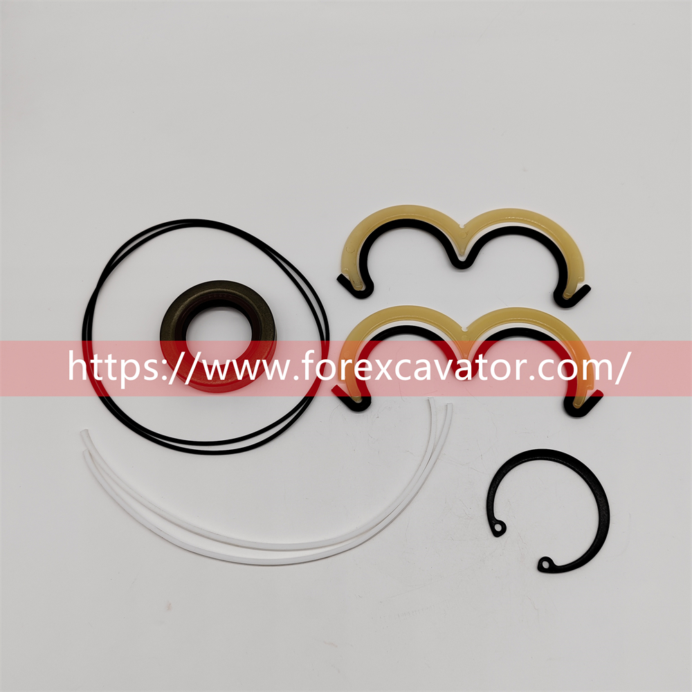 P20020 GEAR PUMP SEAL KIT