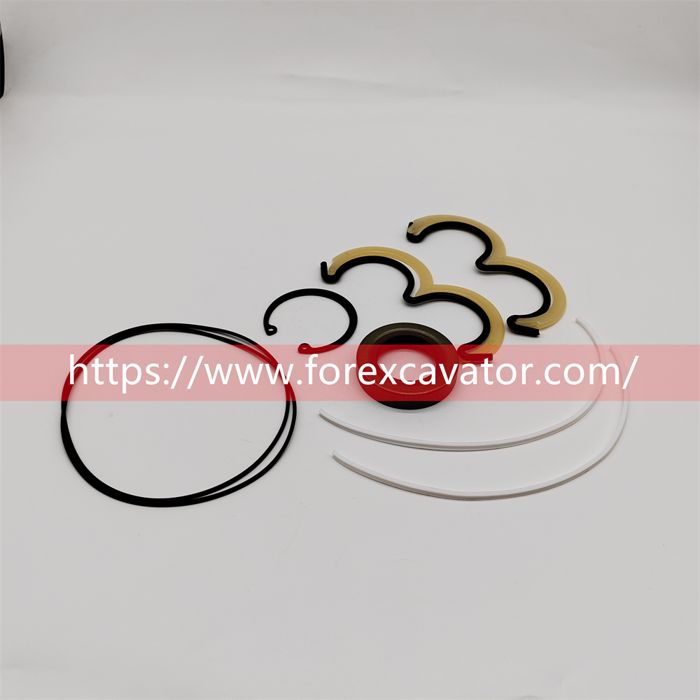 P20020 GEAR PUMP SEAL KIT