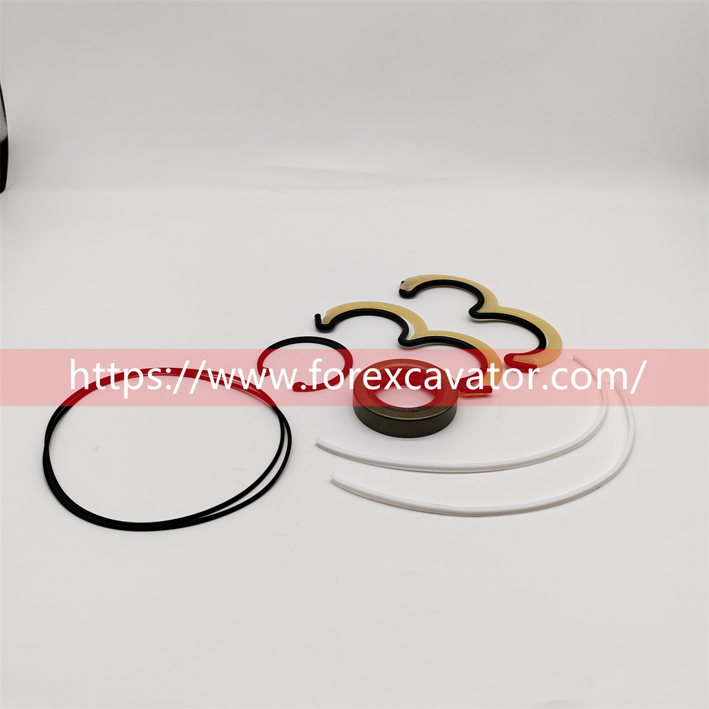 P20020 GEAR PUMP SEAL KIT