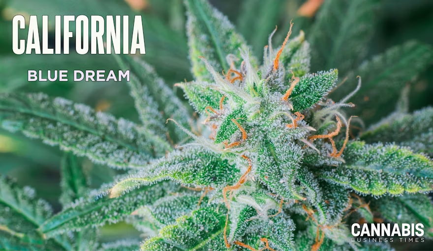 The Top 10 Best-Selling Flower Strains in Californ...