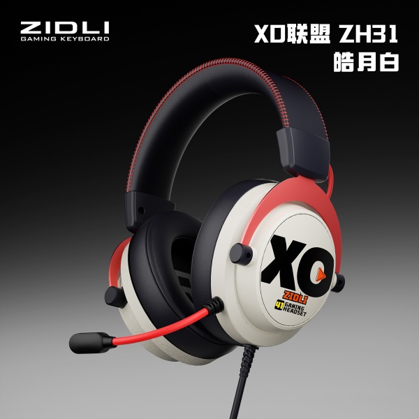 FH31pro