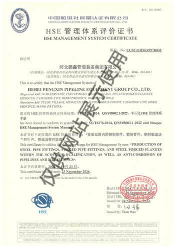 10.HSE管理体系评价证书 (1)
