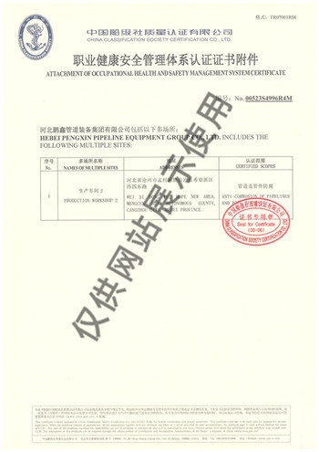 9.职业健康安全管理体系认证证书 (2)