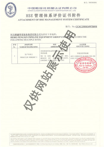 10.HSE管理体系评价证书 (2)
