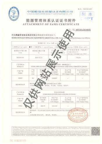 11.能源管理体系认证证书 (4)