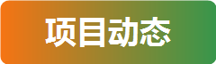 淘梦缘项目动态