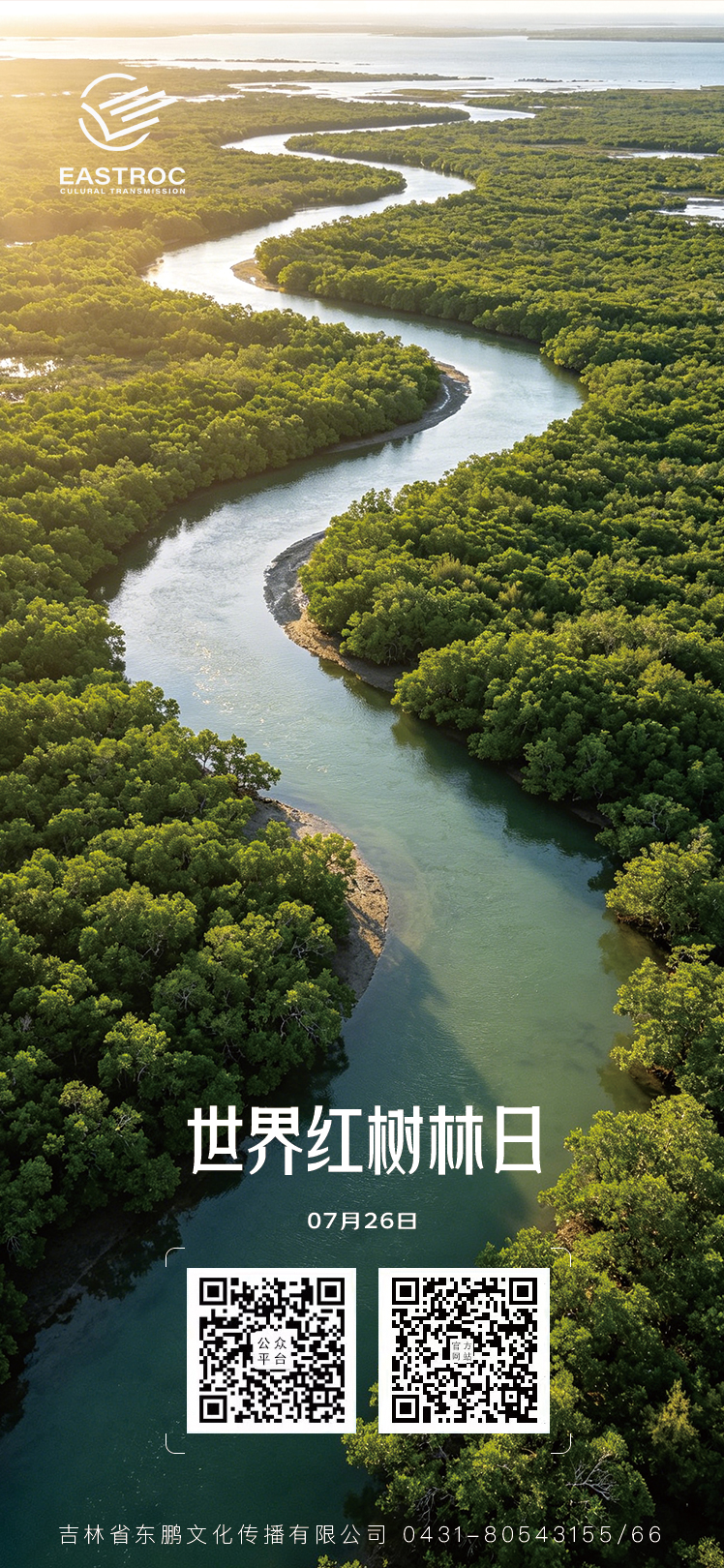 东鹏文化 ｜世界红树林日