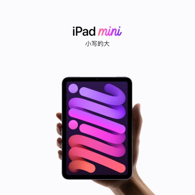 iPad mini