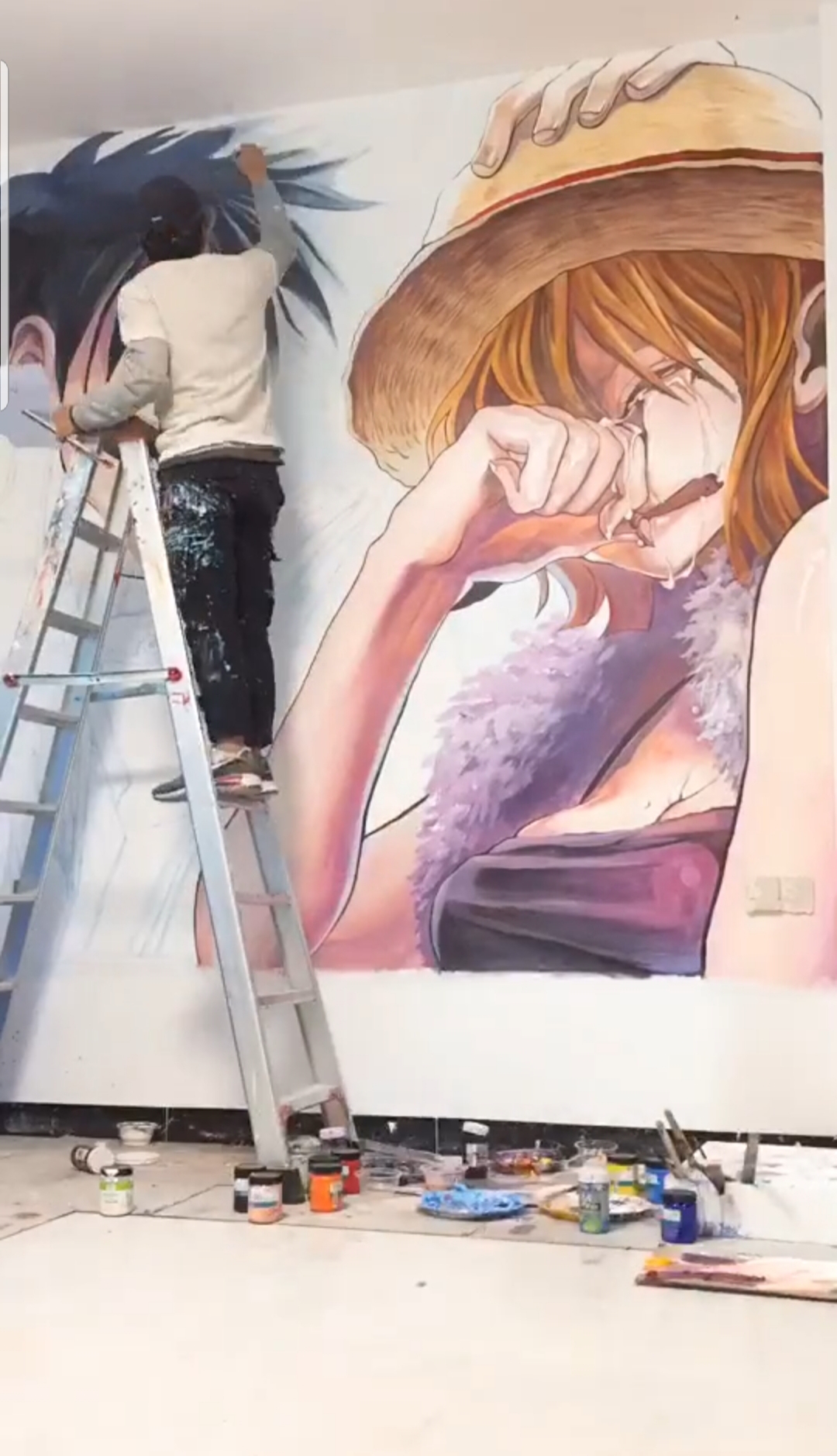 卧室背景墙墙绘 海贼王