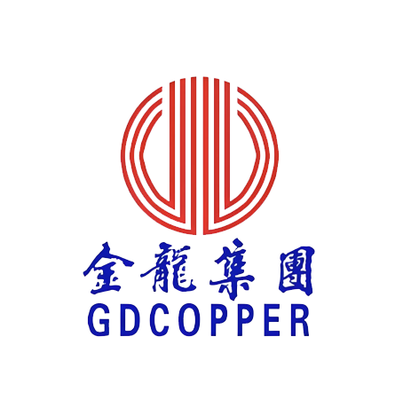金龙集团