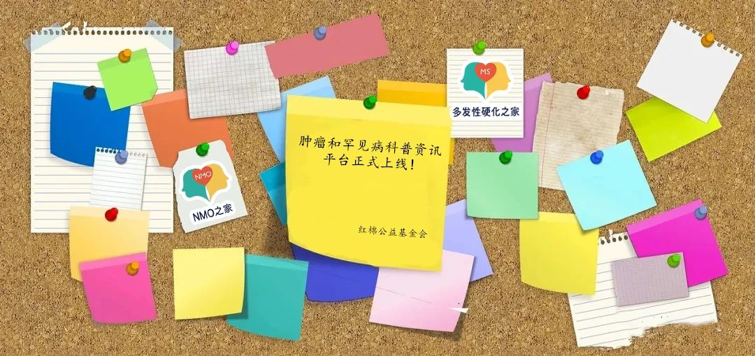 红棉公益基金会肿瘤和罕见病科普资讯平台正式上线
