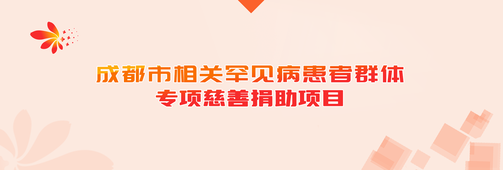 成都市2024年苯丙酮尿症专项慈善捐助项目申请截止通知
