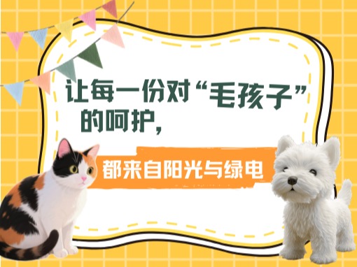 让每一份对“毛孩子”的呵护，都来自阳光与绿电