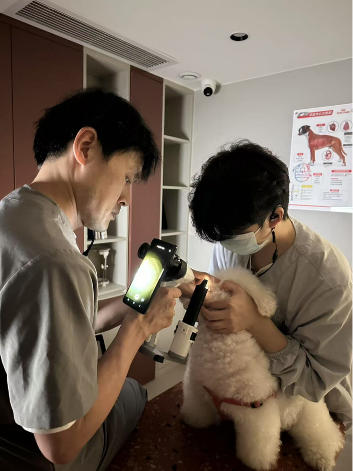 诊疗环境