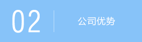公司优势