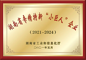 湖南省专精特新小巨人企业