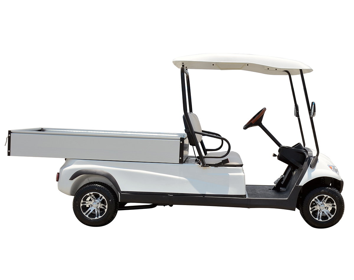 A617 Electric Cargo Car