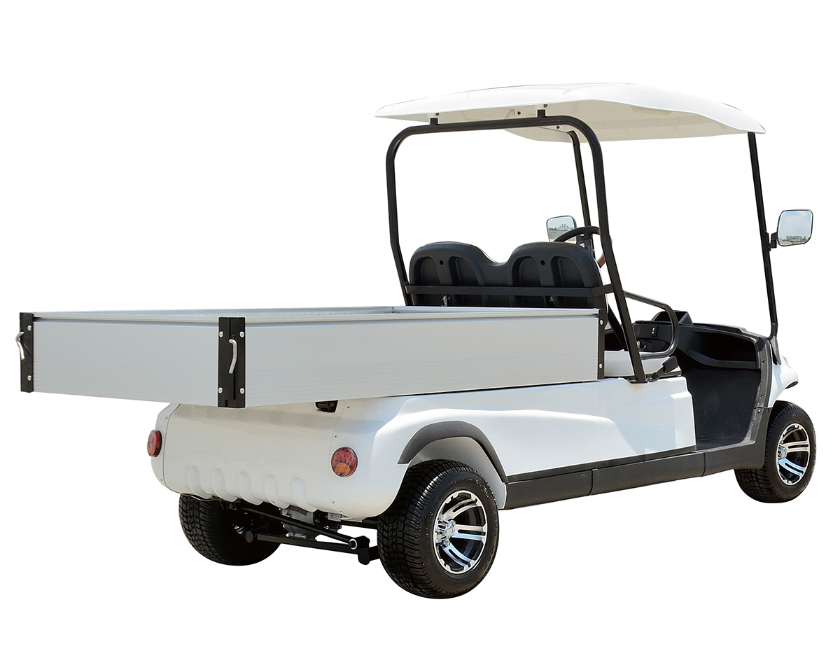 A617 Electric Cargo Car