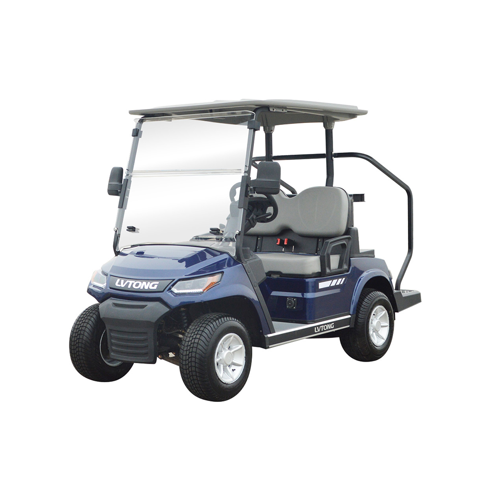 2 Seaters New Model Golf Cart