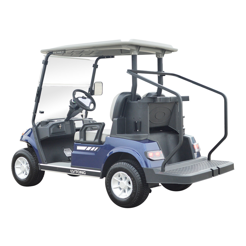 2 Seaters New Model Golf Cart
