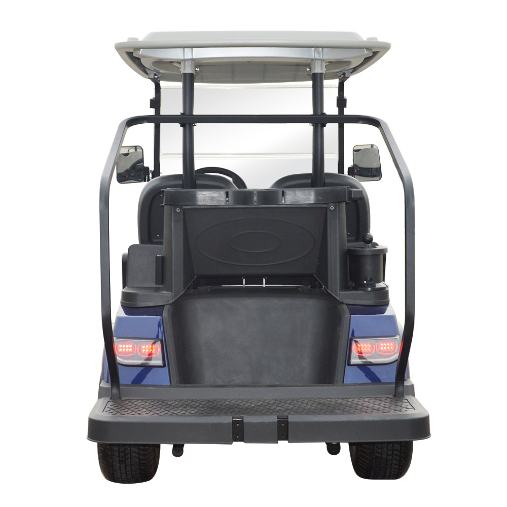 2 Seaters New Model Golf Cart