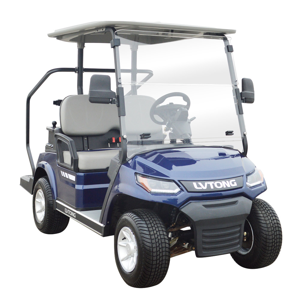 2 Seaters New Model Golf Cart