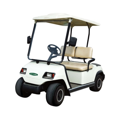 2-Seater Electric Sightseeing Car
