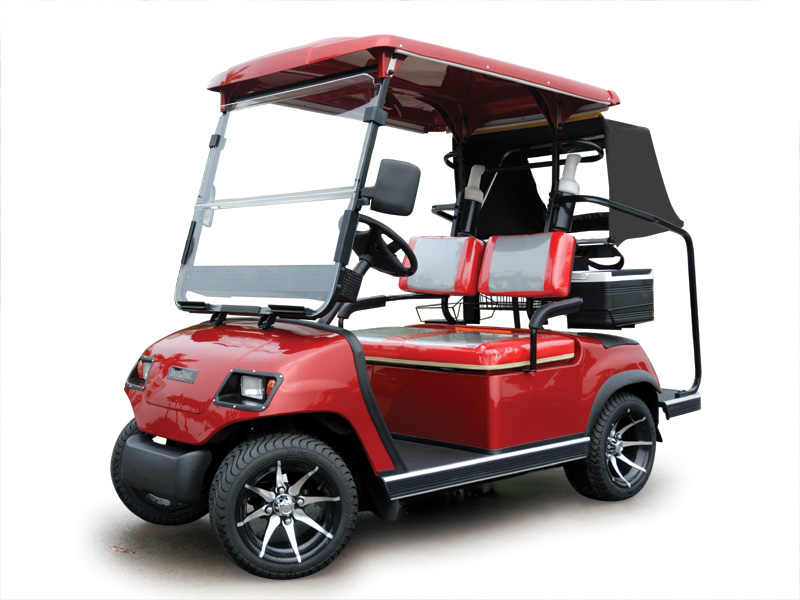 2-Seater Electric Sightseeing Car