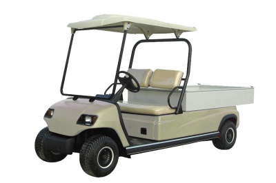 Electric Cargo Car