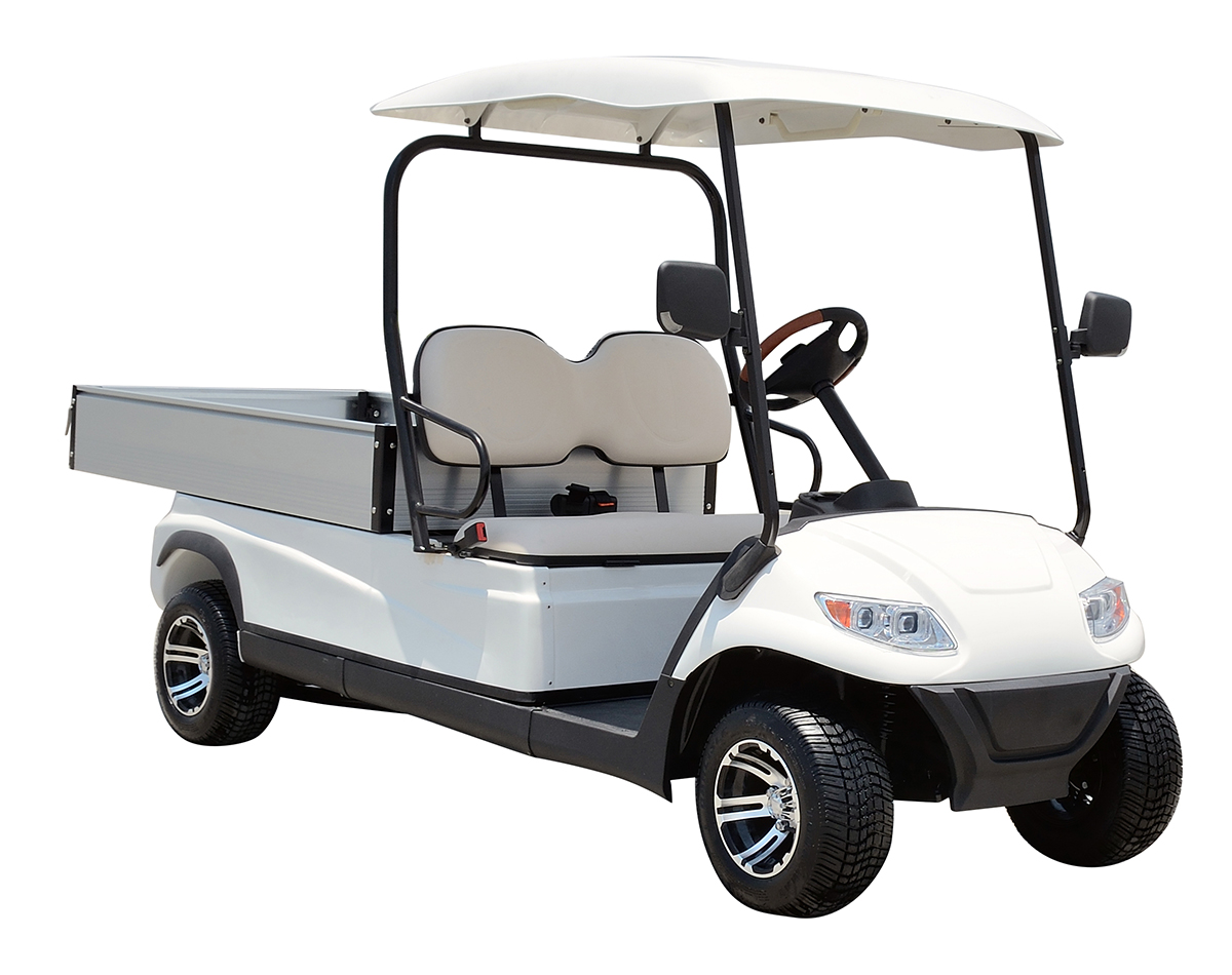 A617 Electric Cargo Car
