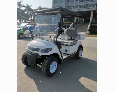 2 Seater Electric Cargo Car （LT-A827.2 cargo）