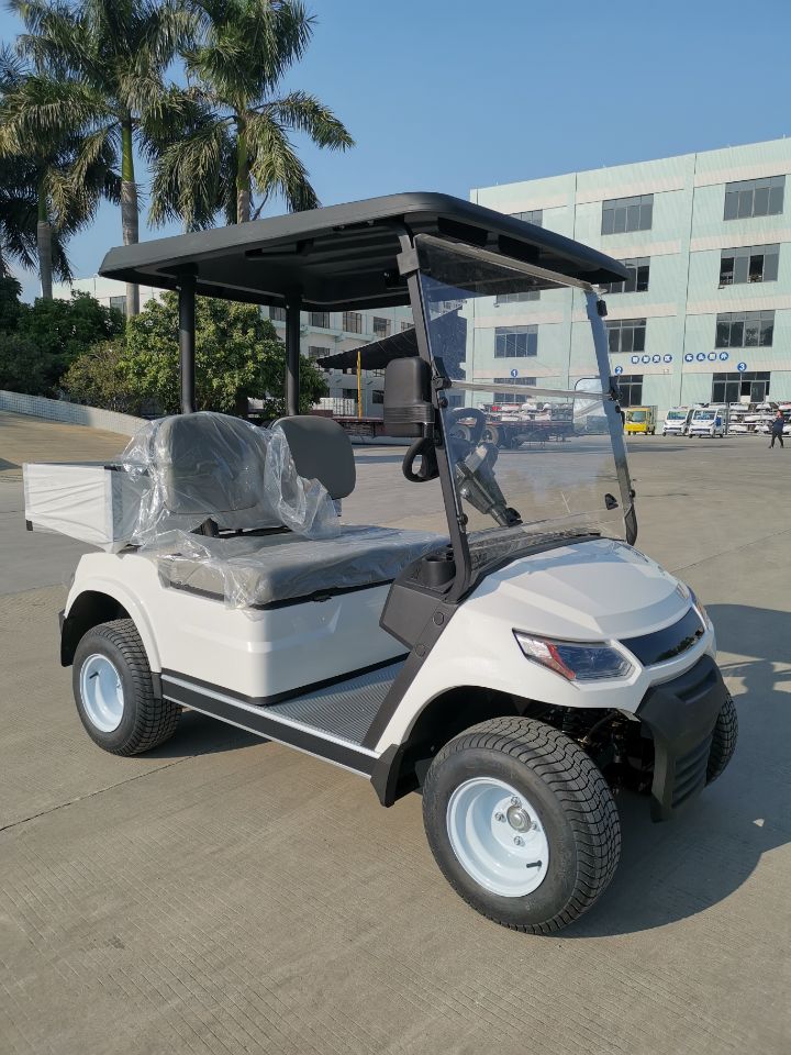 2 Seater Electric Cargo Car （LT-A827.2 cargo）