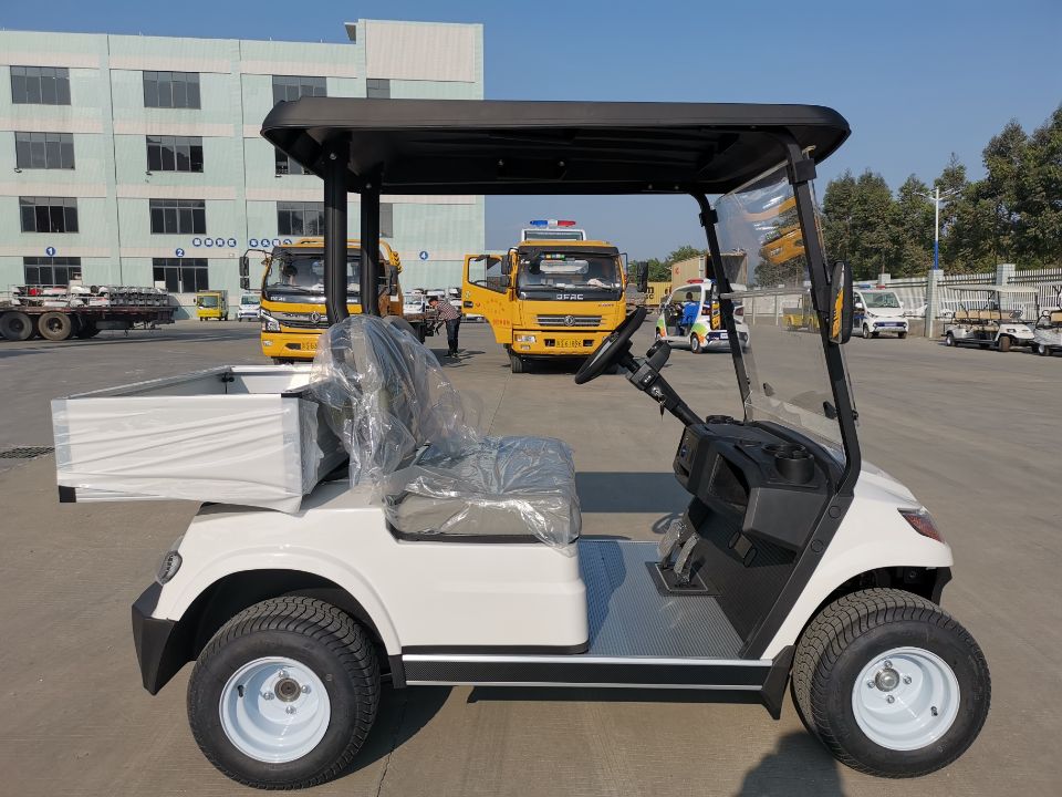 2 Seater Electric Cargo Car （LT-A827.2 cargo）