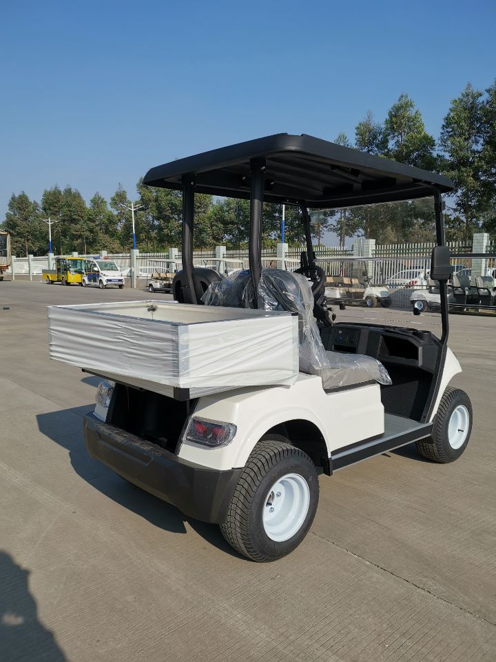 2 Seater Electric Cargo Car （LT-A827.2 cargo）