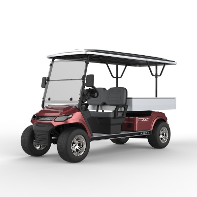 LT-A827 Customized - long utility vehicle