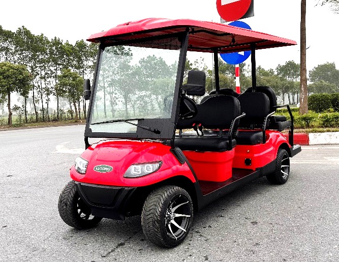 6-Seater Electric on road Sightseeing Car