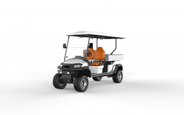 LT-C727 Customized - long utility vehicle