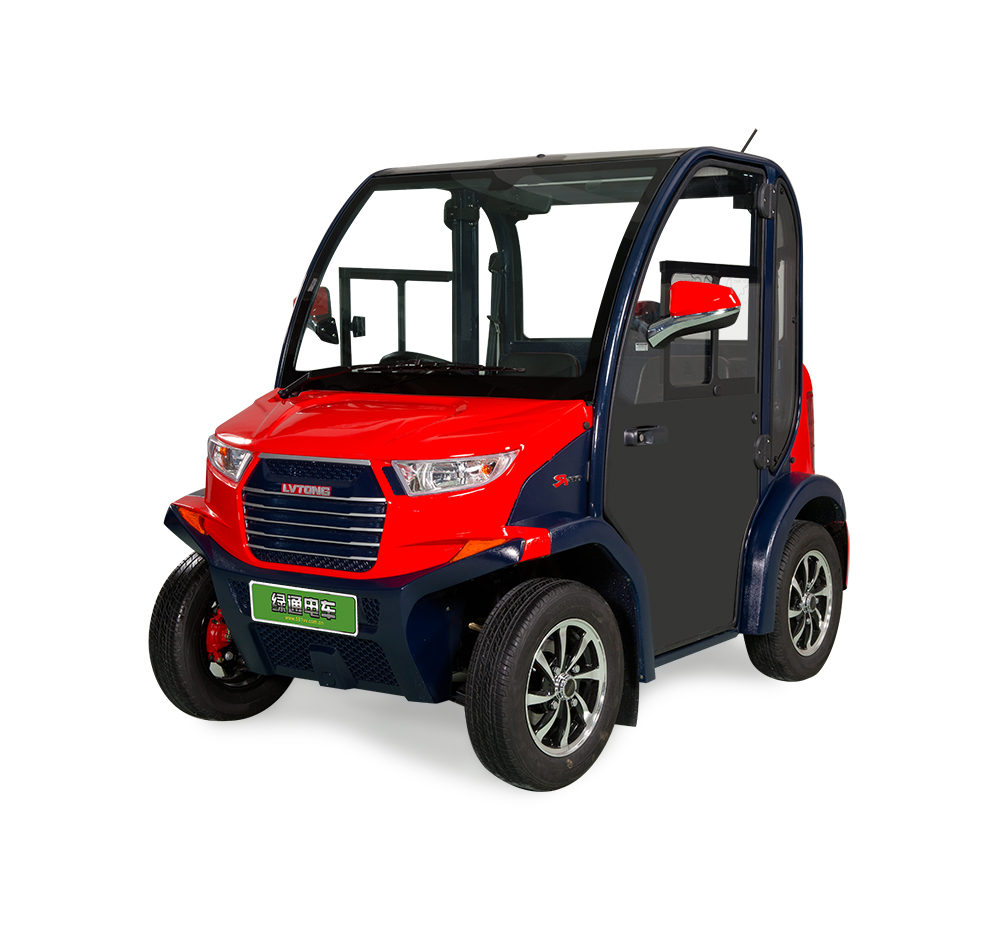 2-Seater Electric VV Cart 