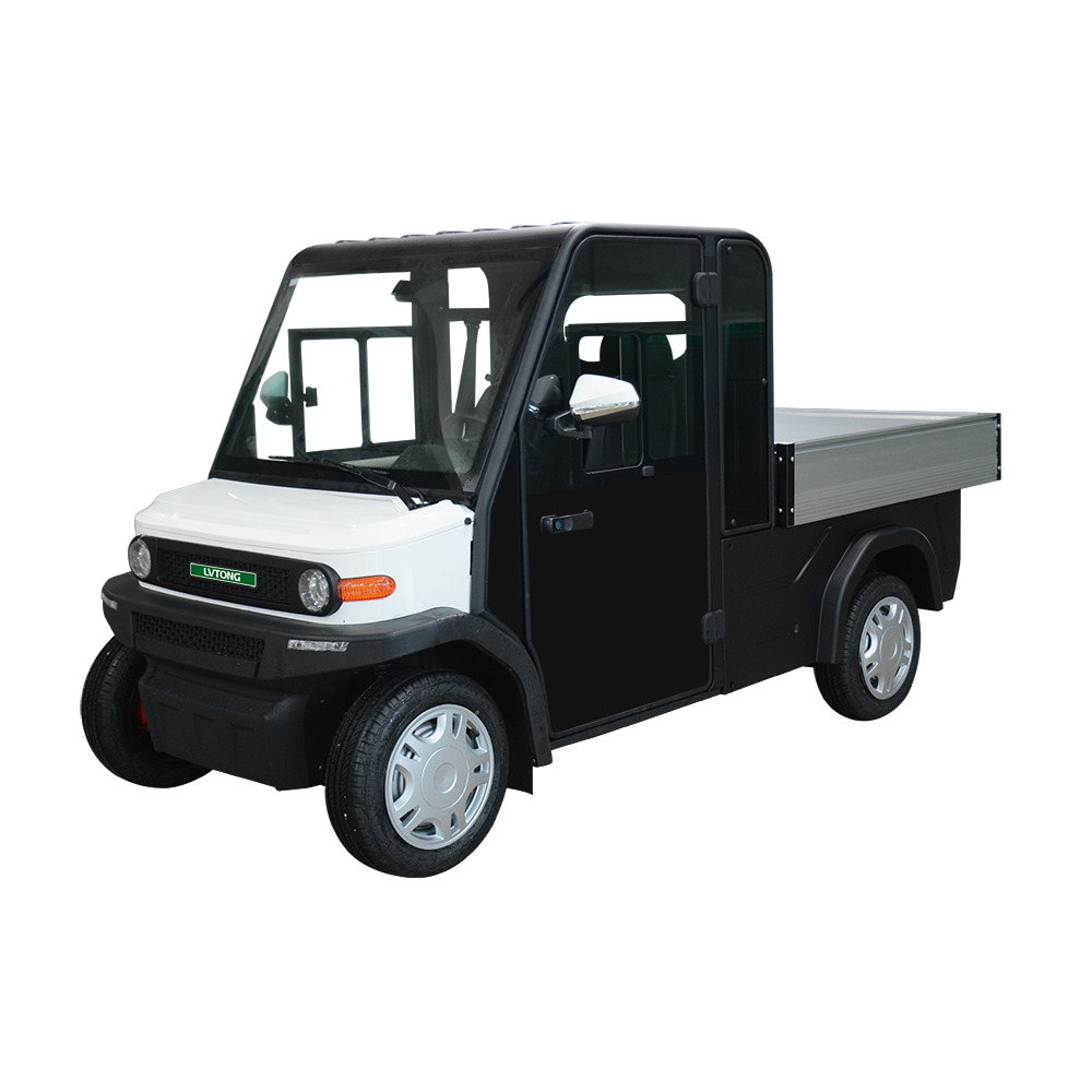 2-Seater Electric VV Cart with Cargo box